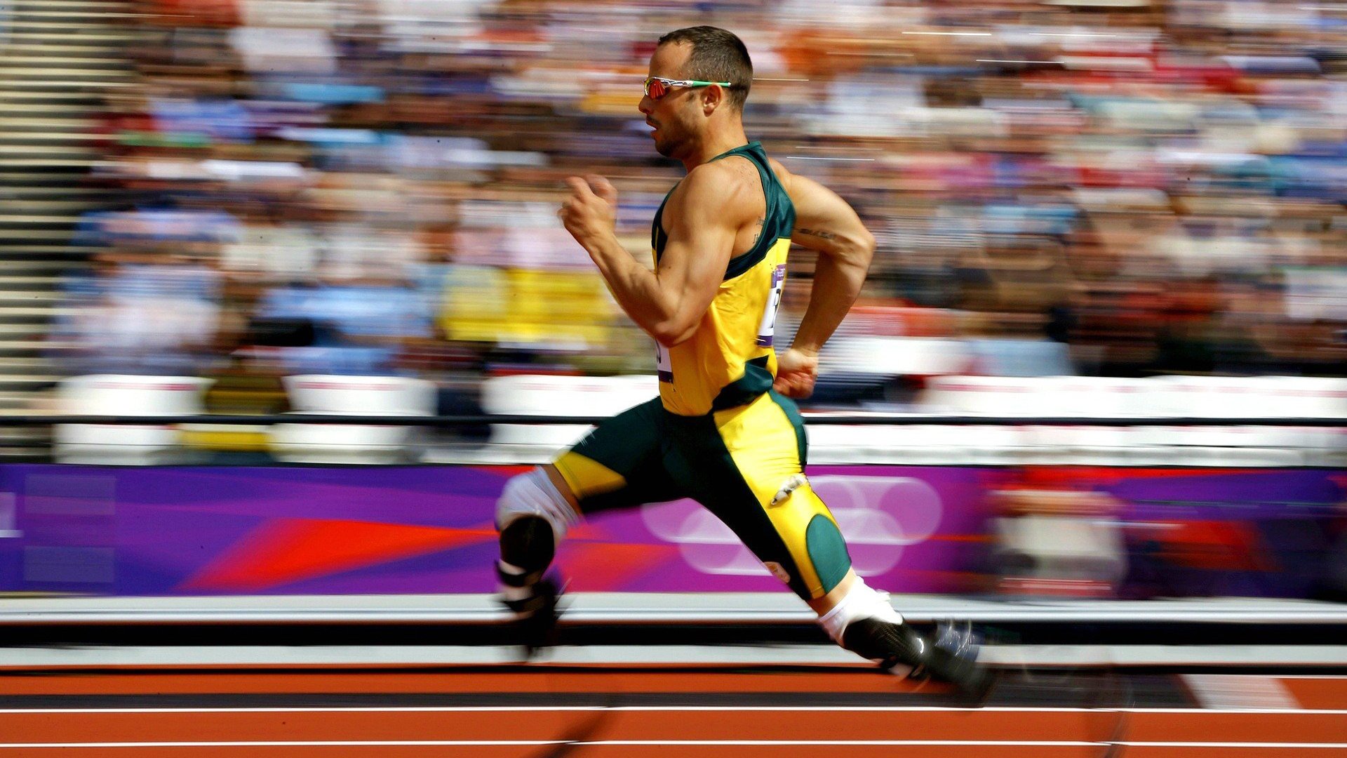 _极地冰原漂流:冰雪中的生存与速度_,极地冰原气候百科