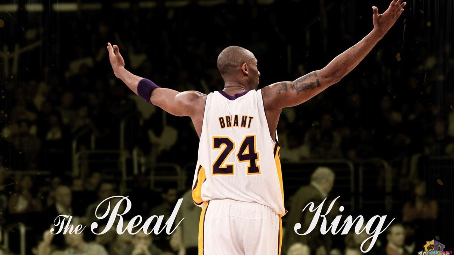 九游网游官网-体育科技展亮相国际会展中心，2020年国际体育展会